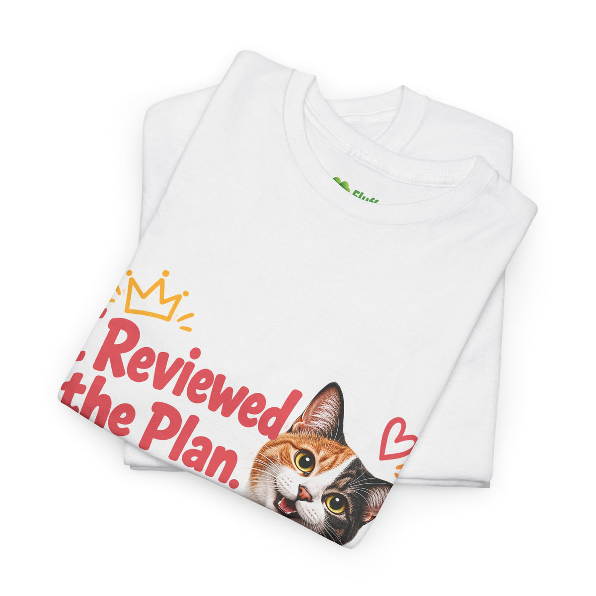 I Reviewed the Plan, You’re Welcome!