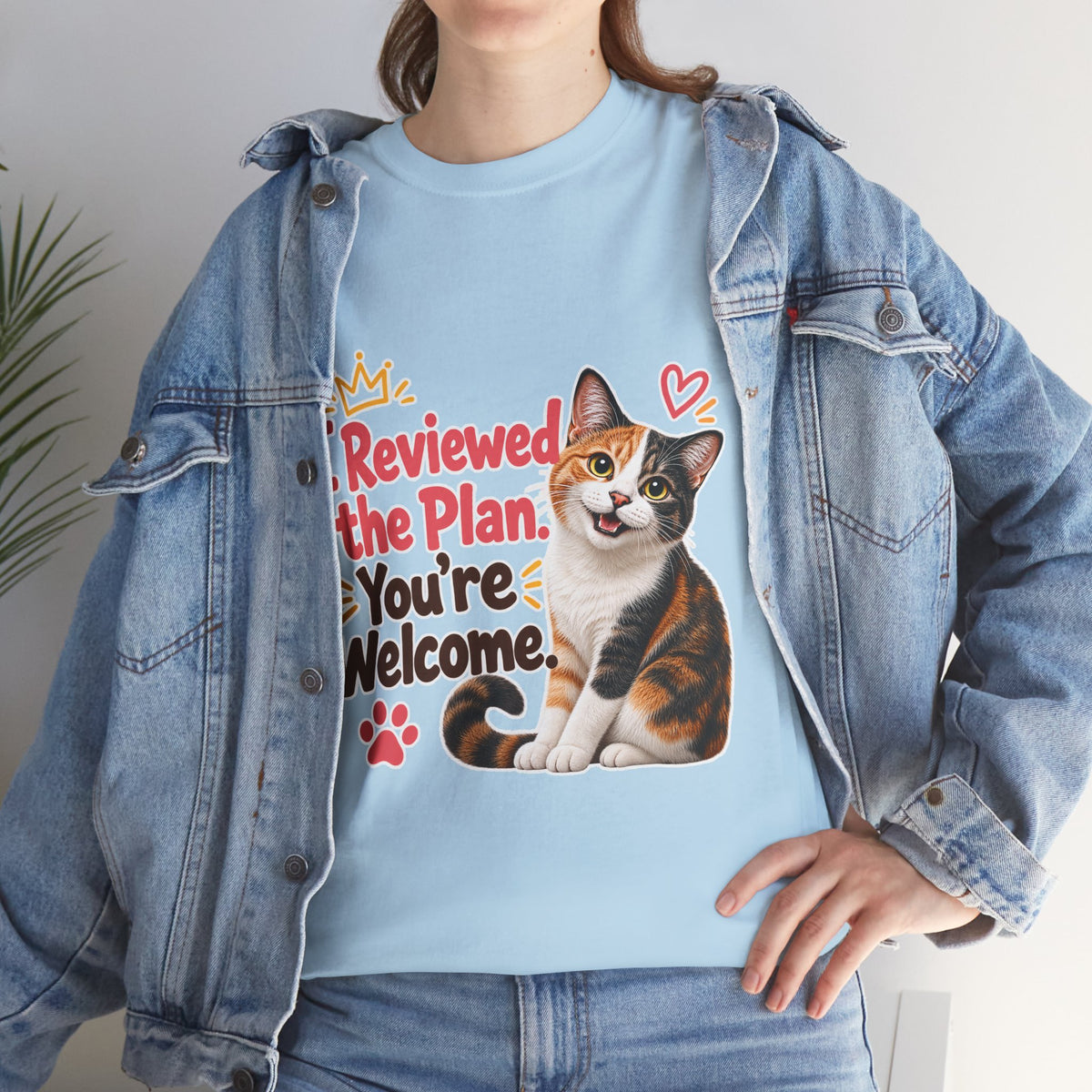 I Reviewed the Plan, You’re Welcome!