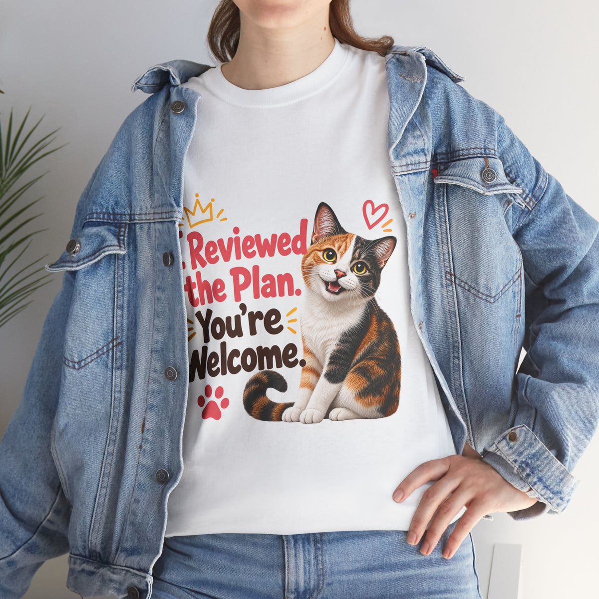 I Reviewed the Plan, You’re Welcome!