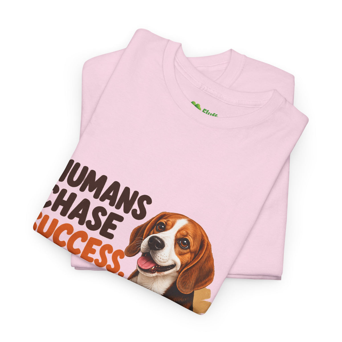 Humans Chase Success Pets Fetch It!