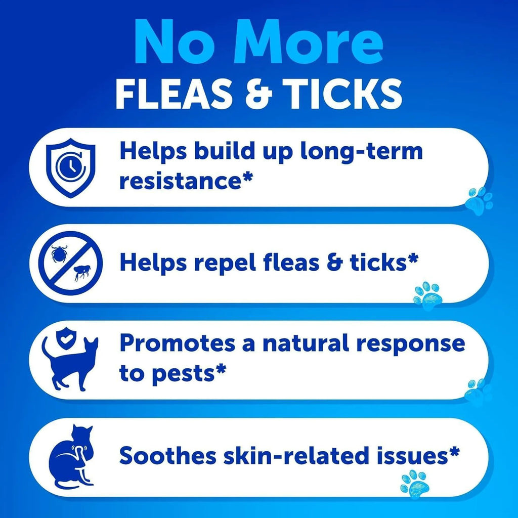 Flea Treatment for Cats Natural Flea and Tick