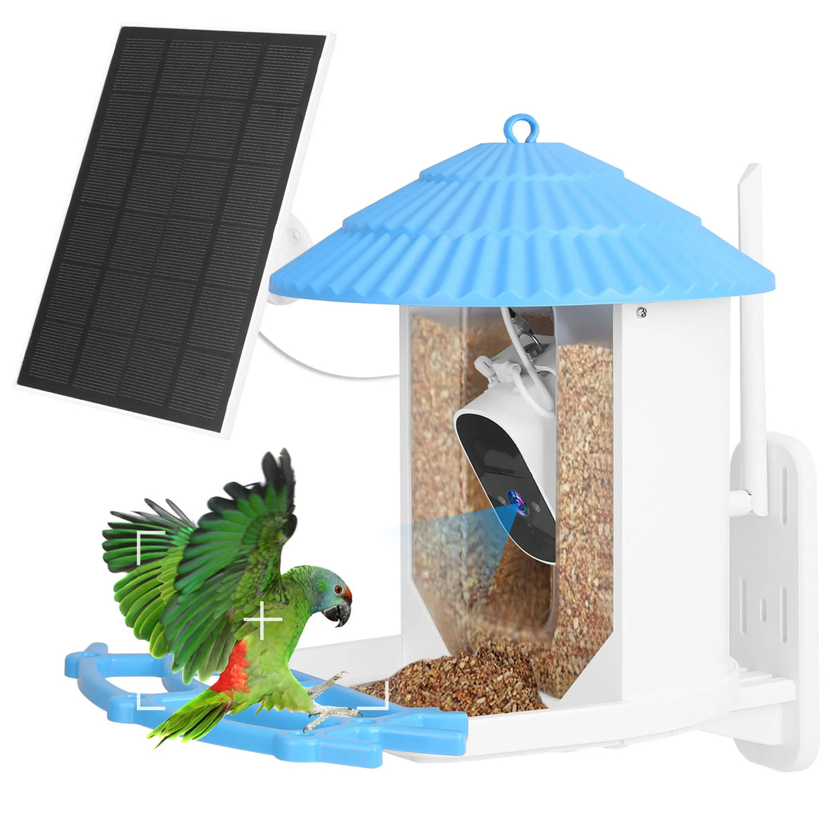 Solar Powered Smart Bird Feeder 2K Bird Watching Camera
