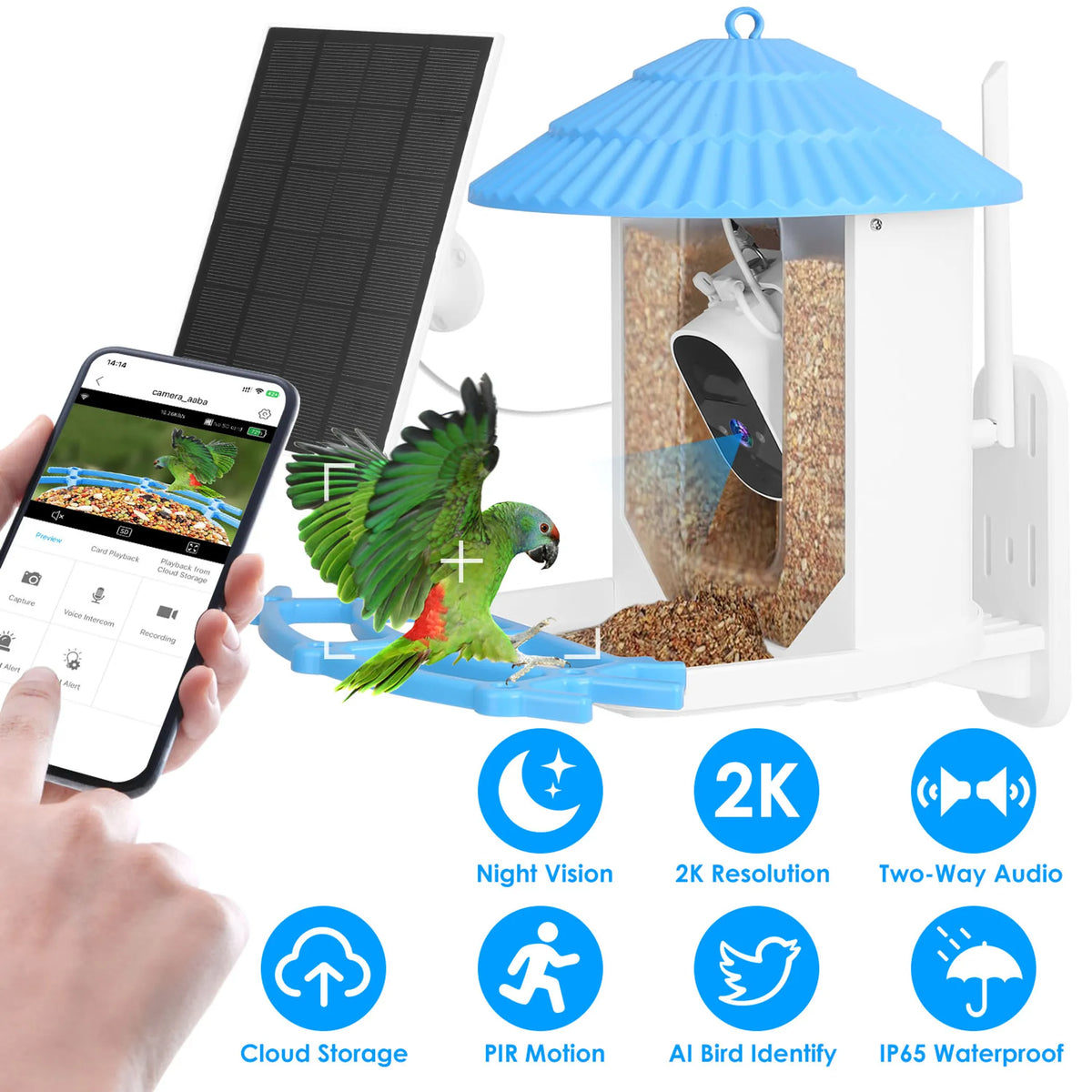 Solar Powered Smart Bird Feeder 2K Bird Watching Camera