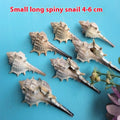 73f3c5e019818bce3c3615fb8ada6033