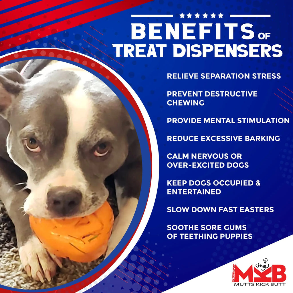 Roasted Turkey Dog Chew Toy & Treat Dispenser