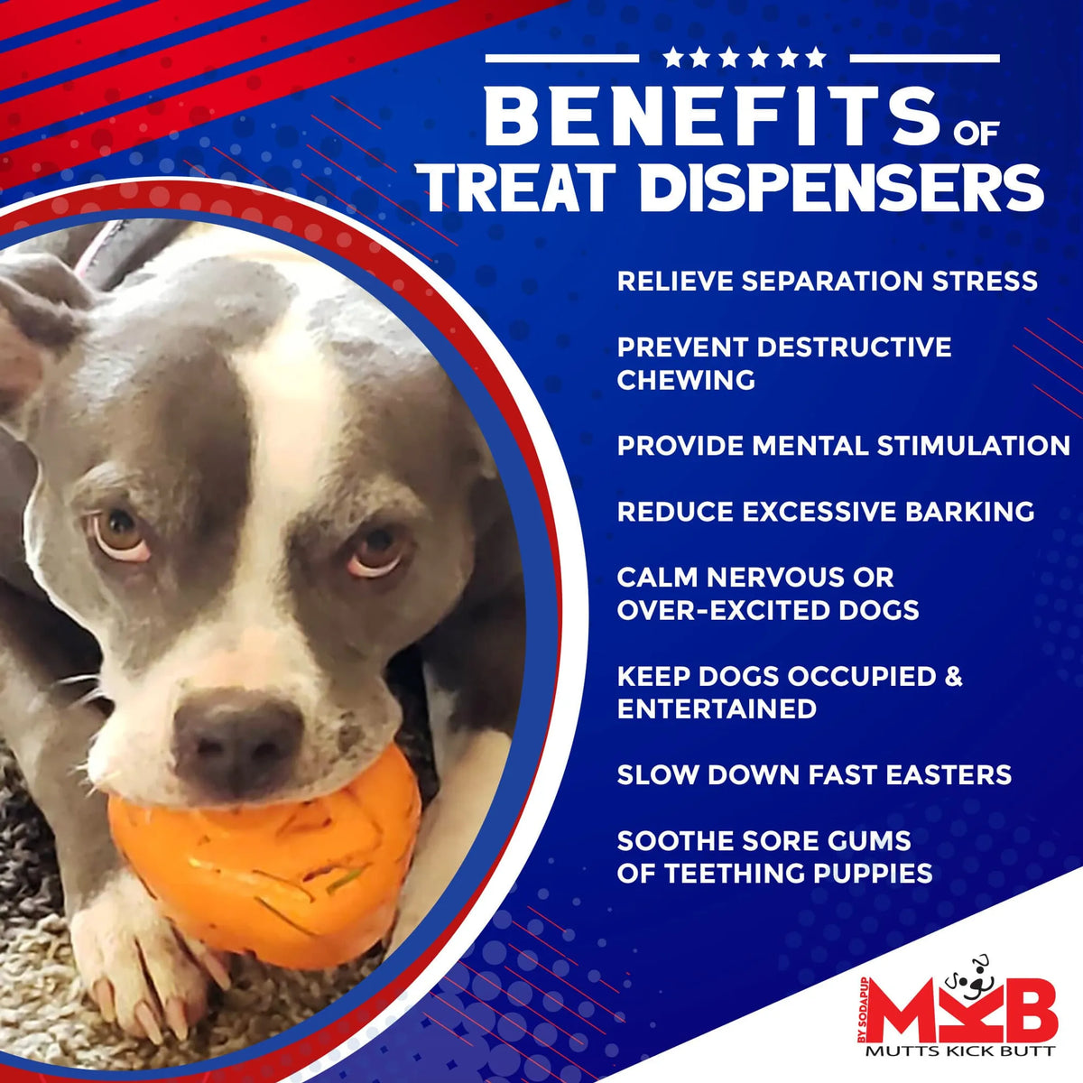 Roasted Turkey Dog Chew Toy & Treat Dispenser