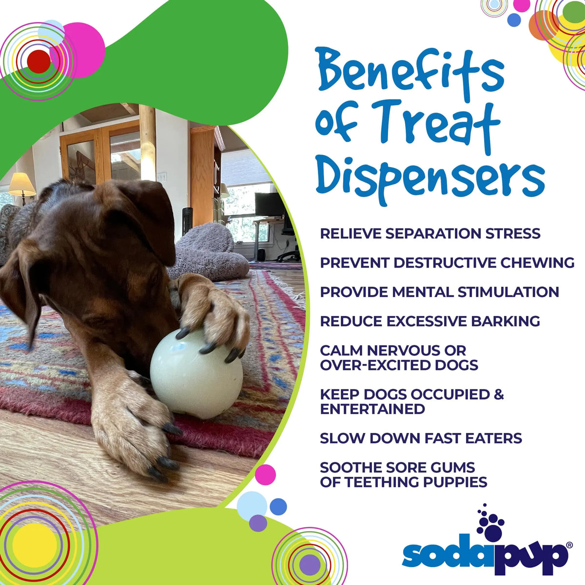 4" Glow-in-the-Dark Dog Ball - Treat Dispenser & Water Toy