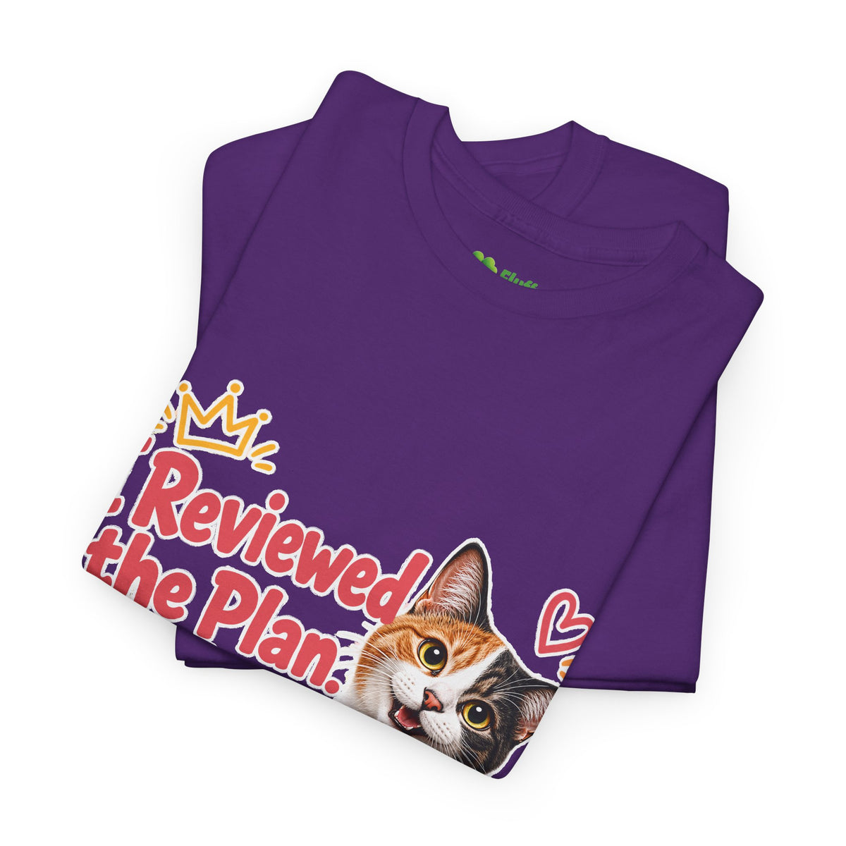 I Reviewed the Plan, You’re Welcome!