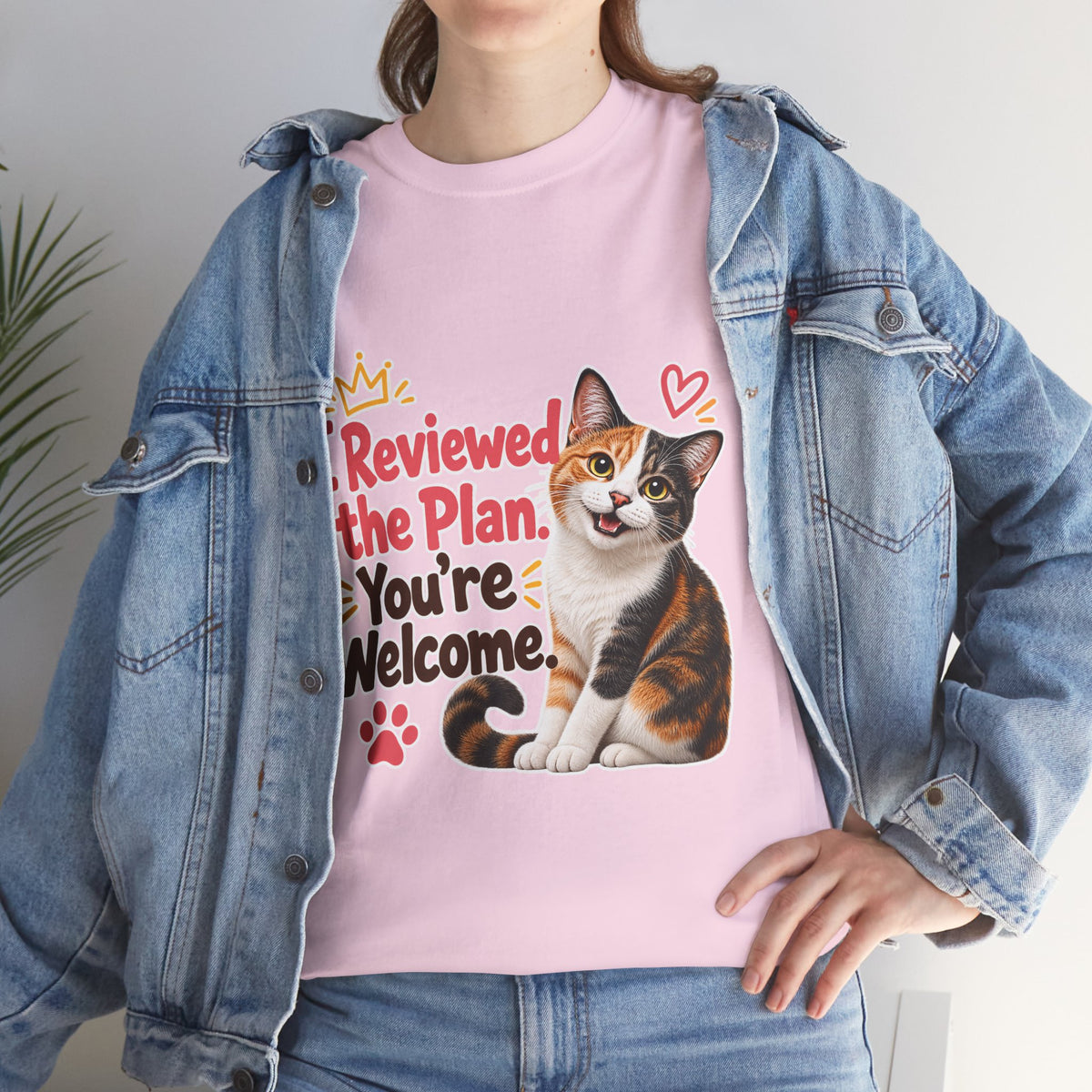I Reviewed the Plan, You’re Welcome!