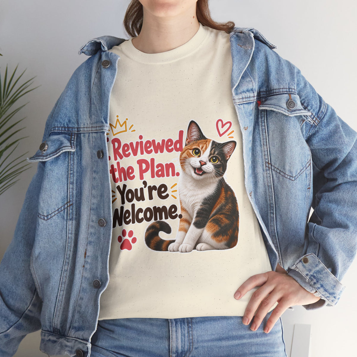 I Reviewed the Plan, You’re Welcome!