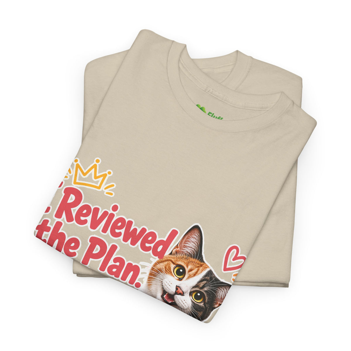 I Reviewed the Plan, You’re Welcome!