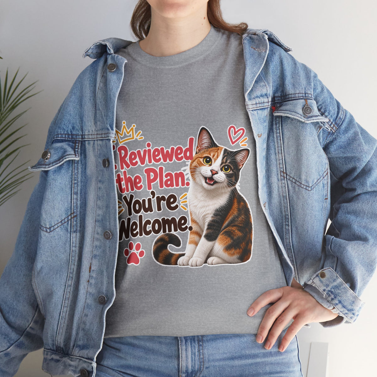 I Reviewed the Plan, You’re Welcome!